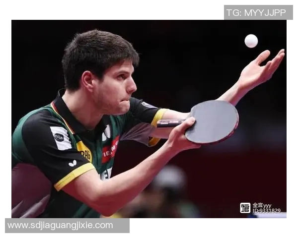 上海网球队在欧锦赛上的拼搏历程与荣耀时刻的深度回顾