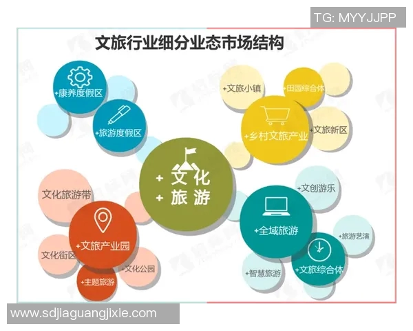 上海羽毛球队转型之路的挑战与机遇全景解析